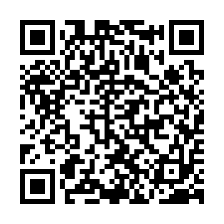 QR code for ANS313