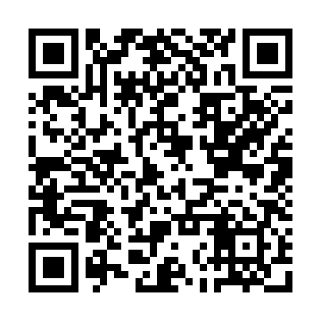 QR code for ANS389