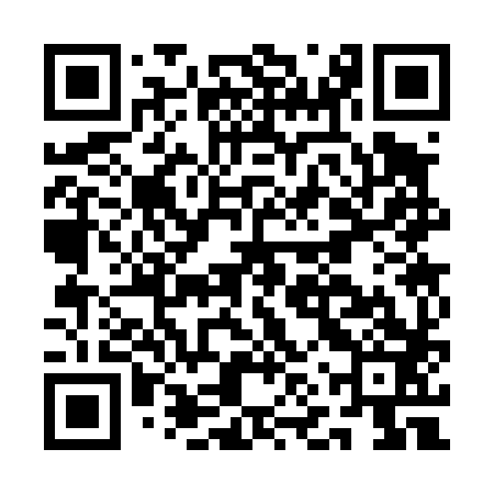 QR code for ANS483