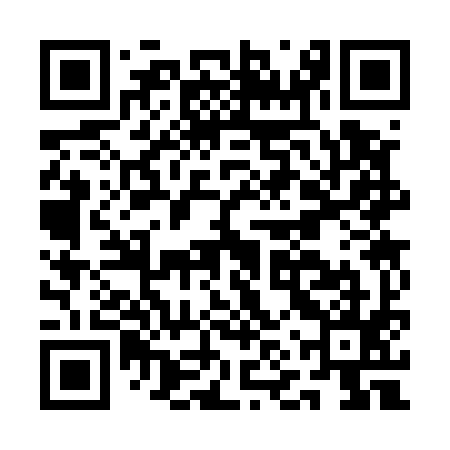 QR code for ANS595