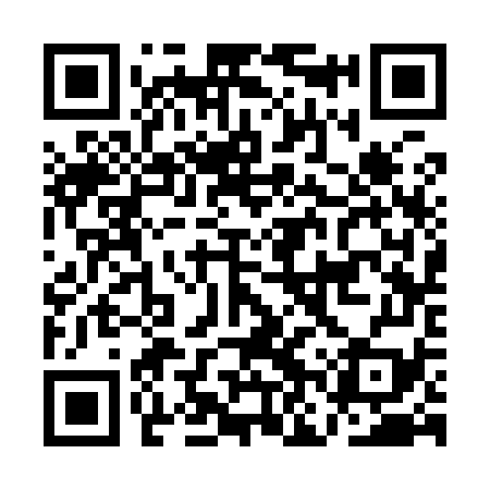 QR code for ANS979