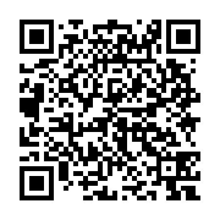 QR code for ANY738