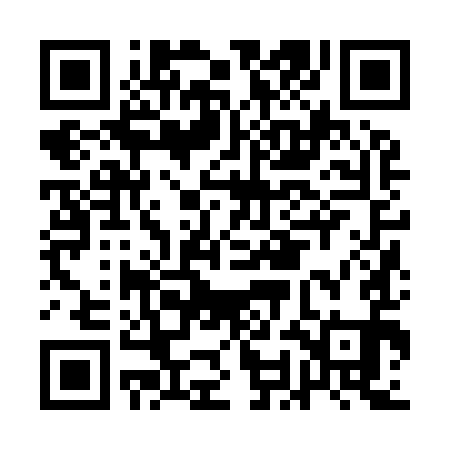QR code for AOJ991