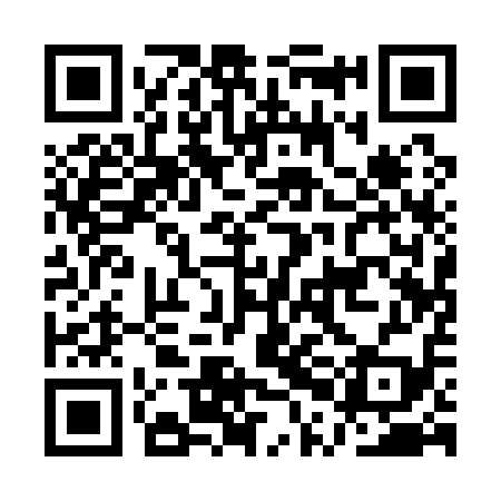 QR code for APA119