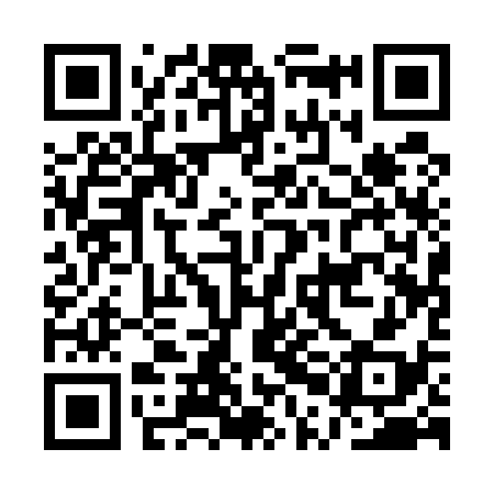 QR code for APA538