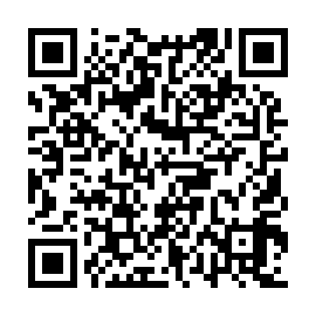 QR code for APA919