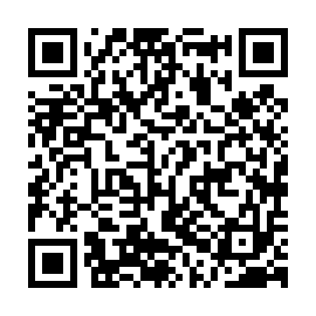 QR code for APH413
