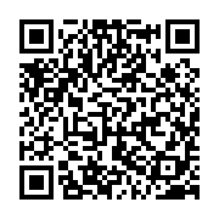 QR code for API198