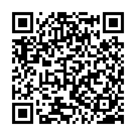 QR code for API220