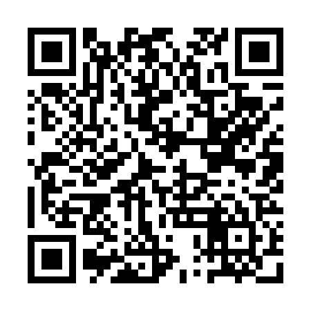 QR code for API425