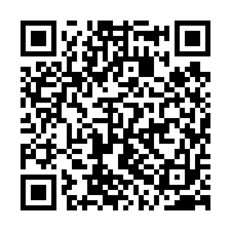QR code for API613