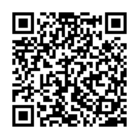 QR code for API869