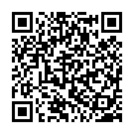 QR code for APJ419