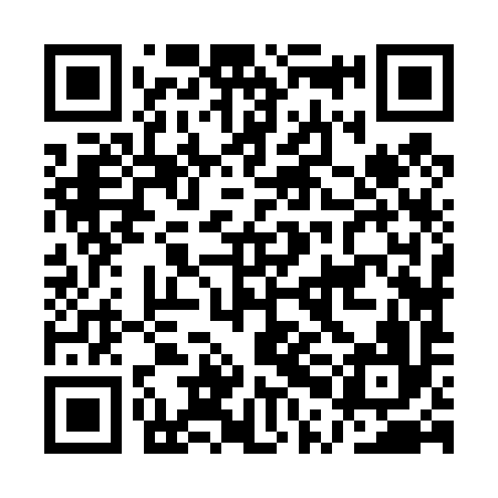 QR code for APJ496