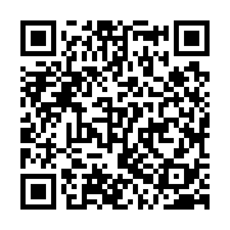 QR code for APJ738