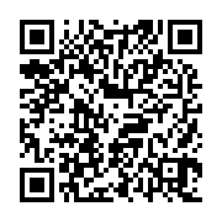 QR code for APJ960
