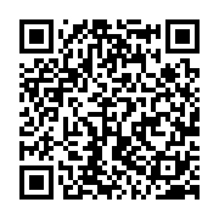 QR code for APL371