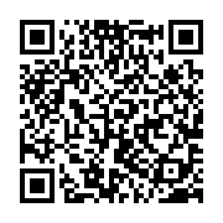QR code for APL399
