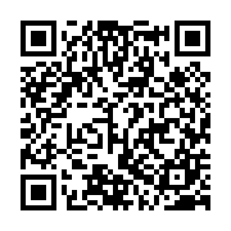 QR code for APM007
