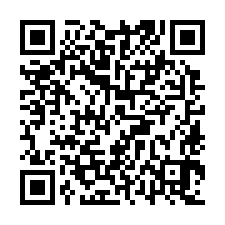 QR code for APO383