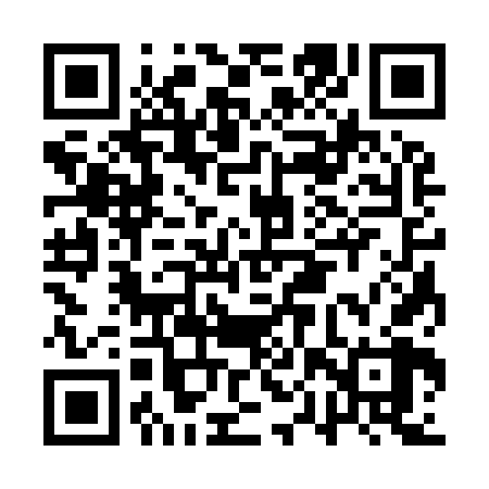 QR code for APS968