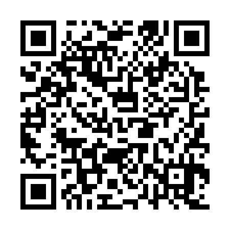 QR code for APT334