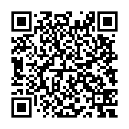QR code for APT539