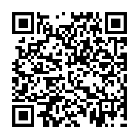 QR code for APU966