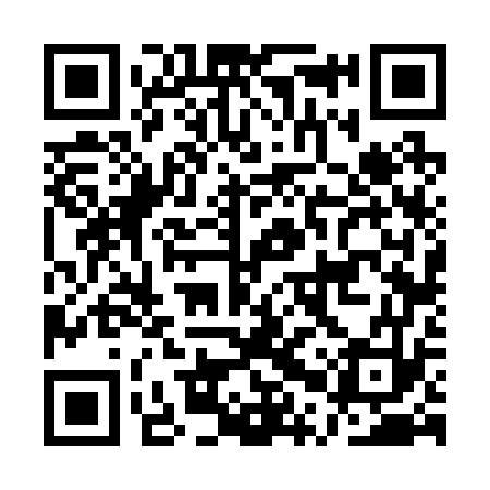 QR code for APV273
