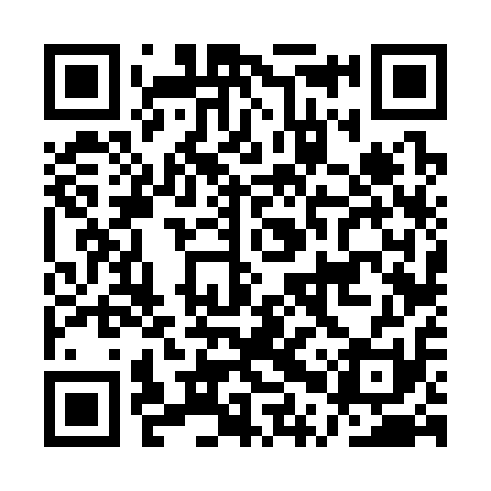 QR code for APV311