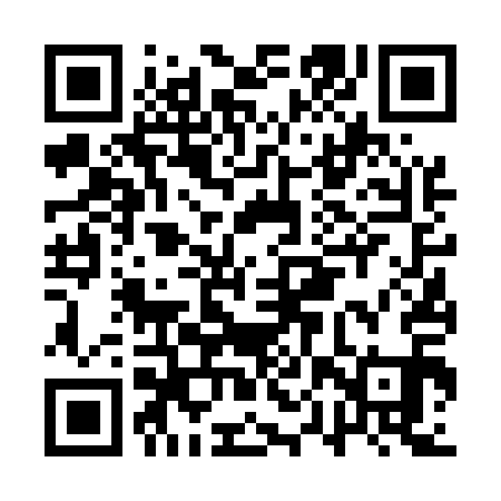 QR code for APV511