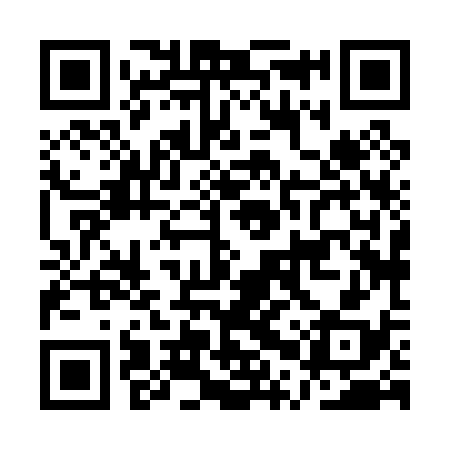 QR code for APX038