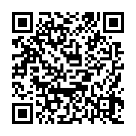 QR code for APX738