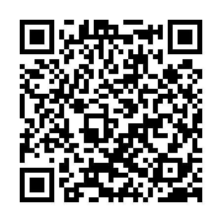QR code for APY538