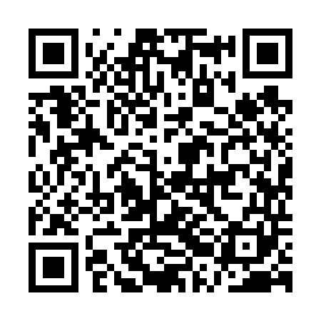 QR code for ARI641
