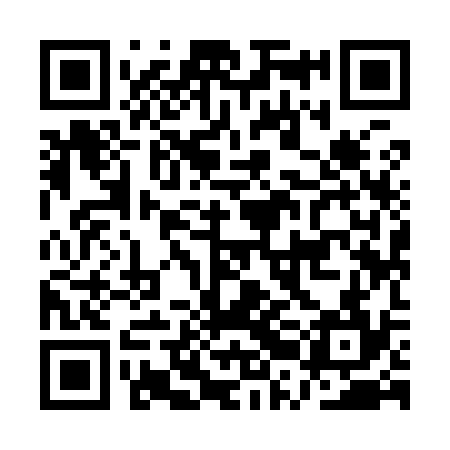 QR code for ARI934