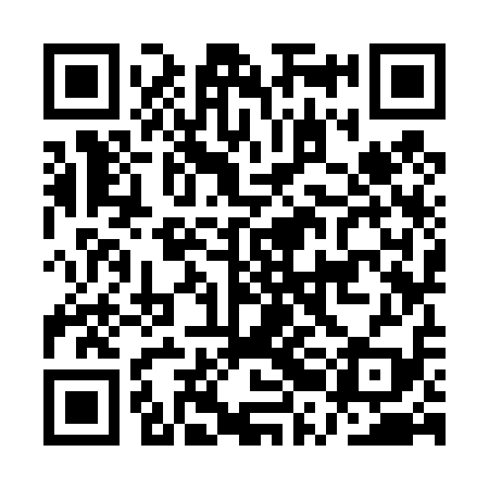 QR code for ARK419