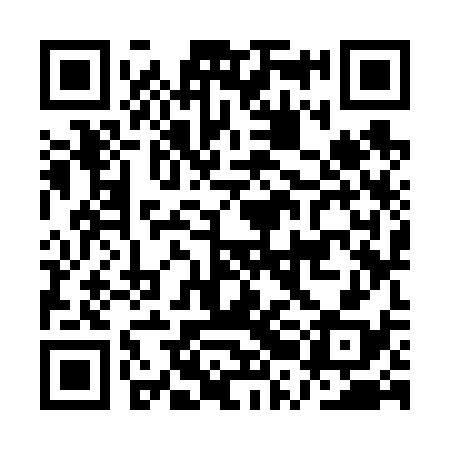 QR code for ARK638