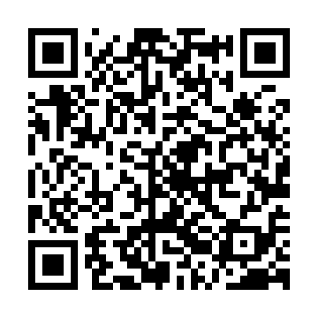 QR code for ARL919