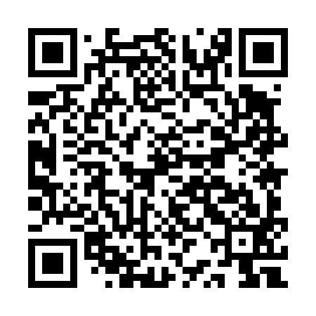 QR code for ARM493