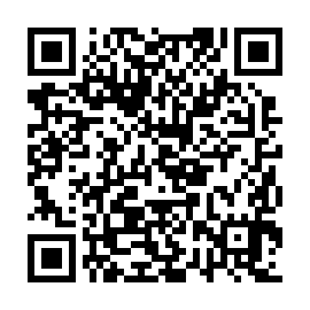 QR code for ARR295