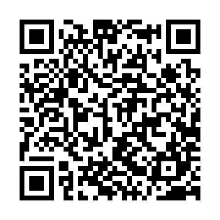 QR code for ART384