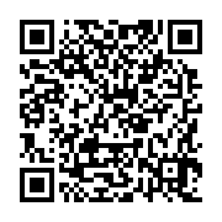 QR code for ARX387