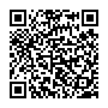 QR code for ASG699