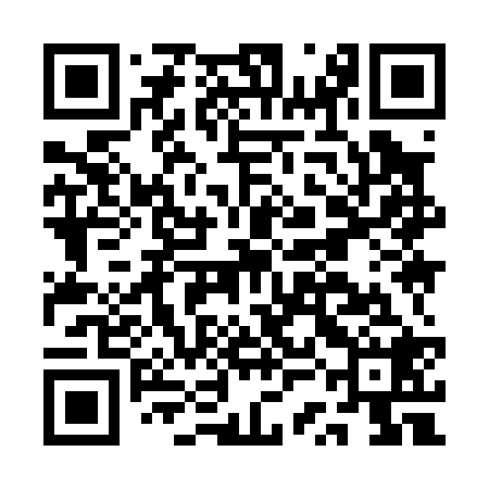 QR code for ASI028
