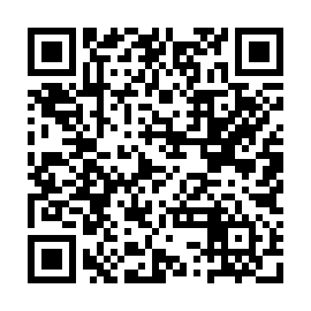 QR code for ASM394