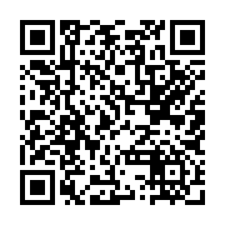 QR code for ASM397