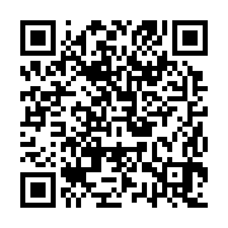 QR code for ASR383