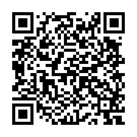 QR code for ASS482
