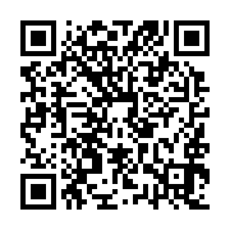 QR code for AST393